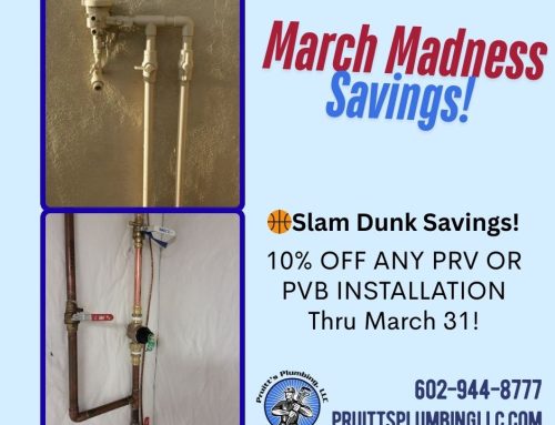 Understanding and Protecting Your Water System Guardians